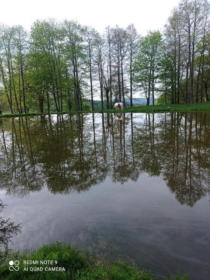 Apartment U Becova Nad Teplou *
